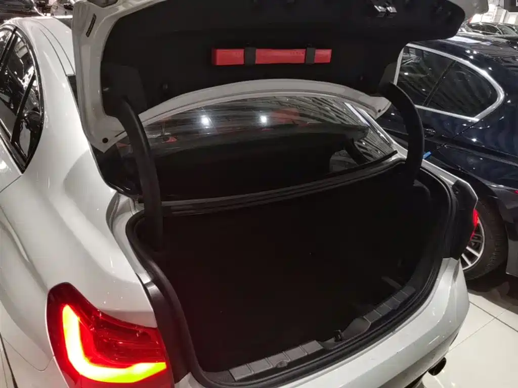 BMW 1 Series 2021 125i M Sport Black Night Edition фото 19