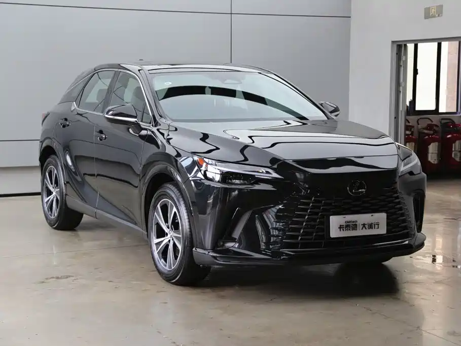 Фото 30 - Lexus RX