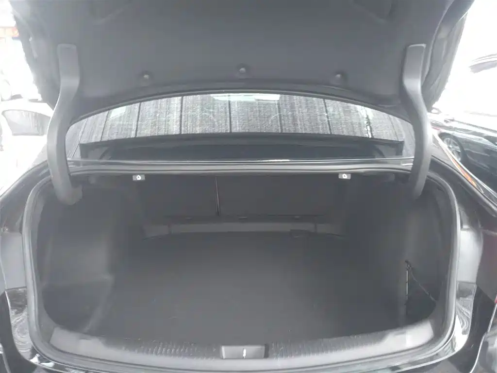 Buick Regal 2017 20T Elite Type фото 15