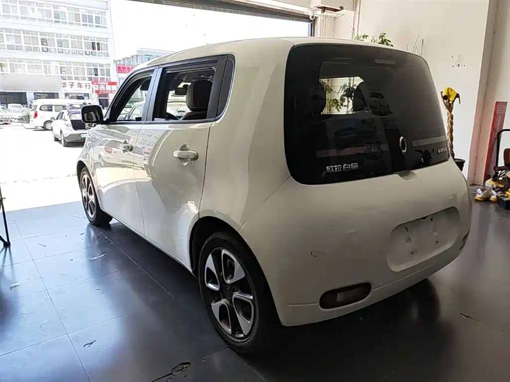 Ora White Cat 2021 2020 305km Luxury