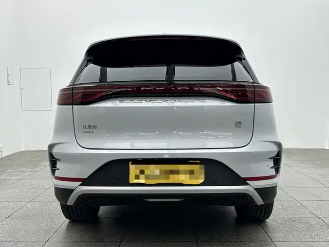 BYD Tang New Energy 2025 DM-i 115KM Prestige Type фото 5