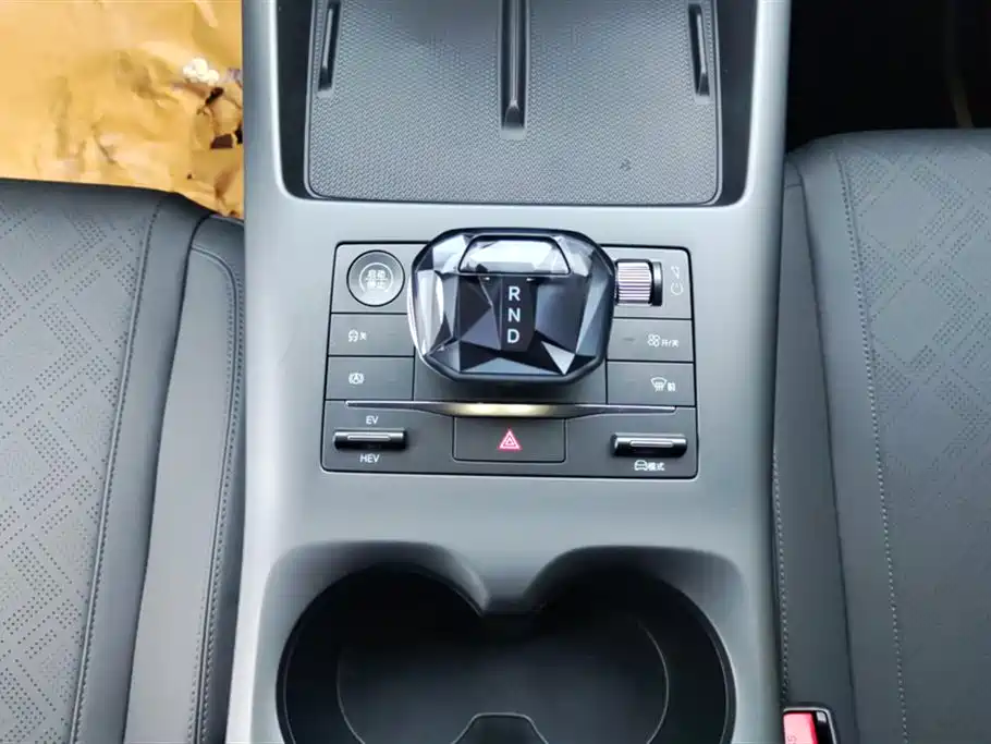 BYD Qin PLUS 2025 DM-i Smart Drive 55KM Leader фото 16