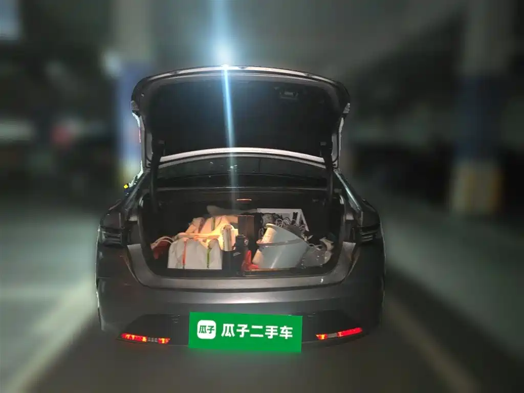 BYD Destroyer 05 2024 Glory Edition DM-i 55KM Luxury фото 10
