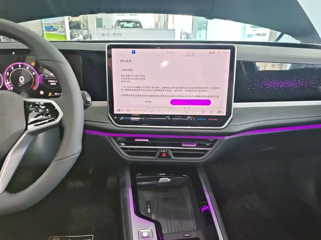Volkswagen Magotan 2024 300TSI DSG Premium Edition (Eye-catching Package) фото 13