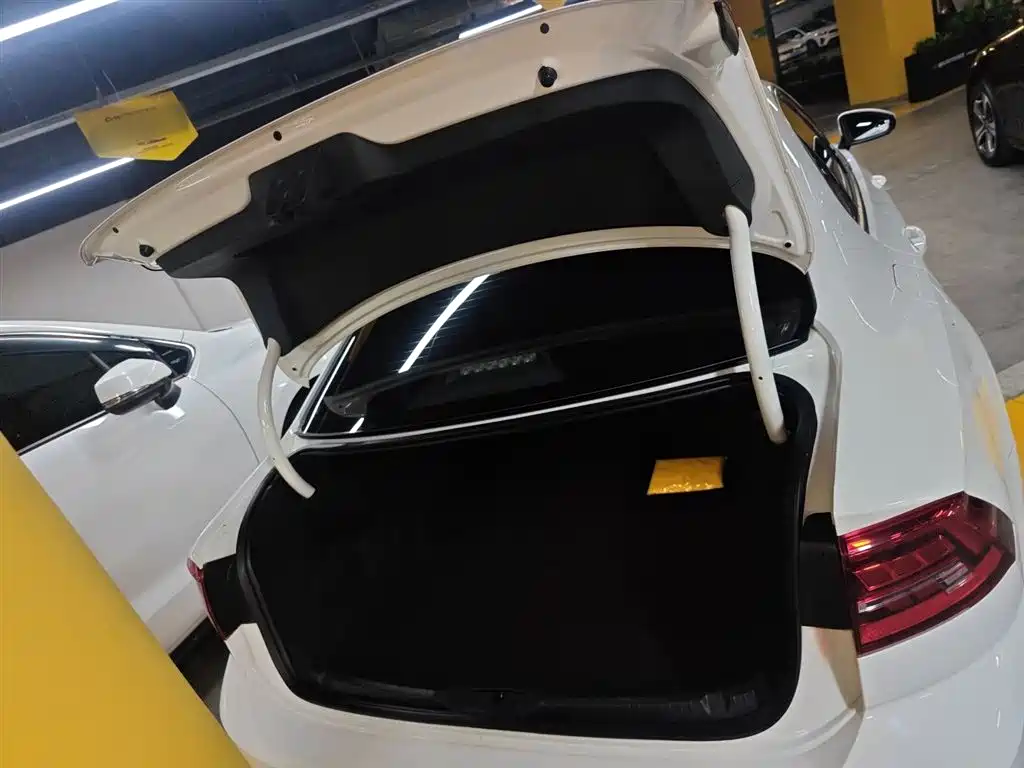 Volkswagen Lamando 2019 230TSI DSG Vision Edition China VI фото 19