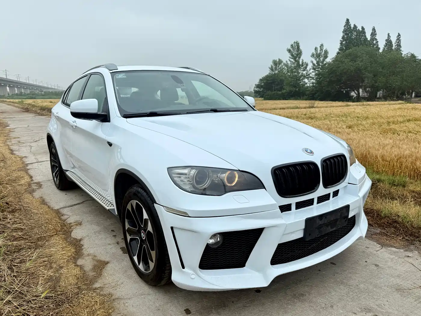 BMW X6 2012 xDrive35i фото 2
