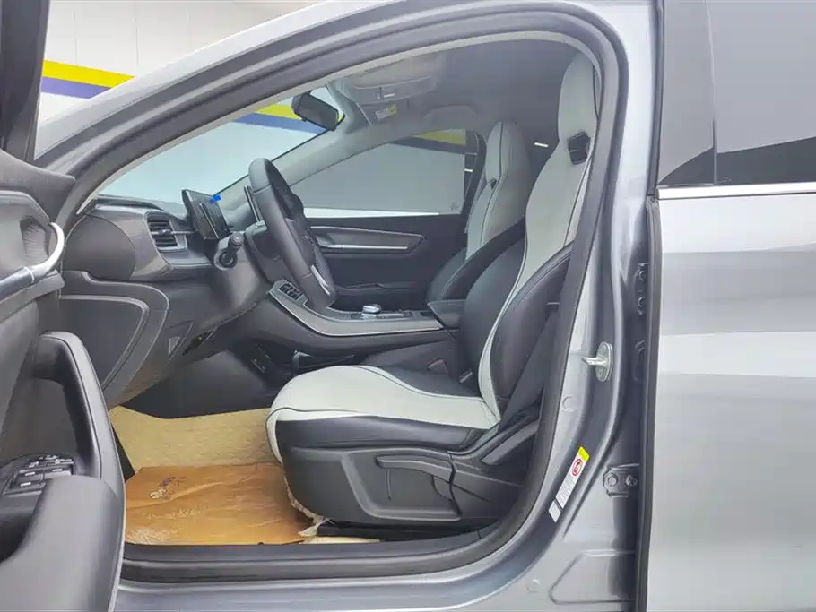 BYD Destroyer 05 2024 Glory Edition DM-i 55KM Luxury фото 9