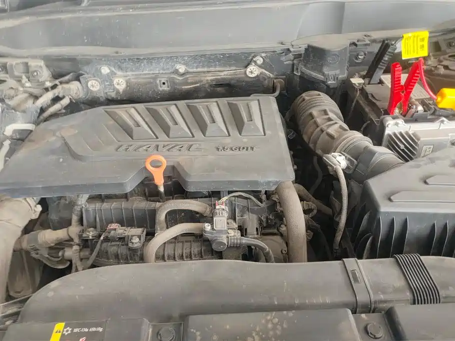 Haval Big Dog 2021 1.5T DCT 2WD Border Collie Edition фото 10