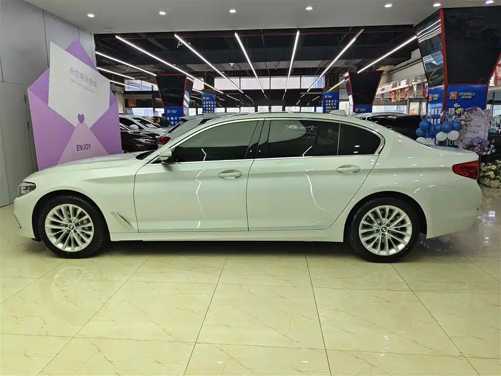 BMW 5 Series 2019 530Li Leading Luxury Package фото 7