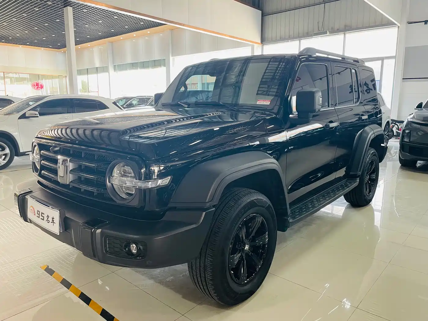 Tank 300 2023 Off-Road Edition 2.0T Conqueror