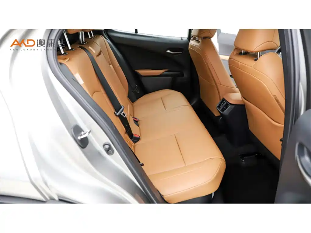 Lexus UX 2020 260h Explore Fun Edition фото 8