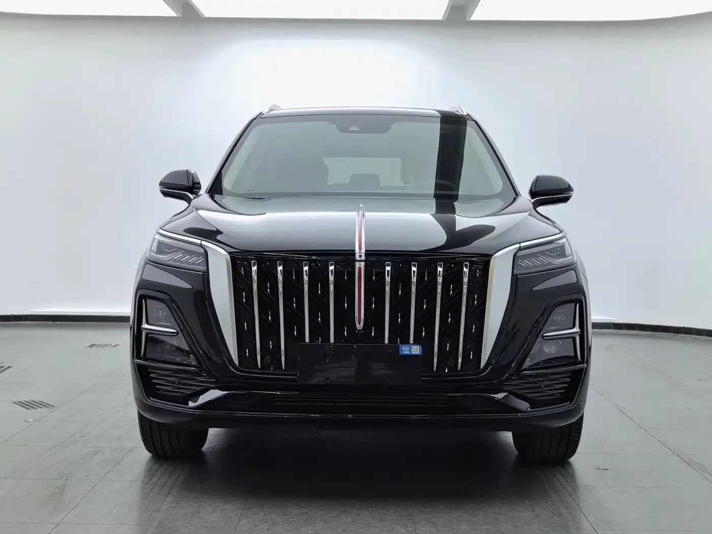 Hongqi HS5 2023 2.0T Flag Enjoy Pro Edition фото 2