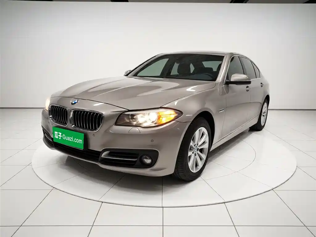 BMW 5 Series 2014 520Li Elegance фото 2