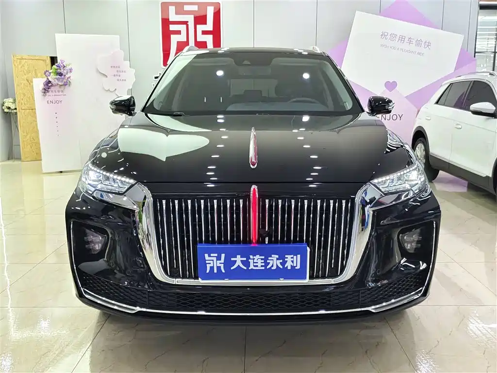 Hongqi HS5 2019 2.0T Smart Connect Enjoy 4WD Edition фото 2
