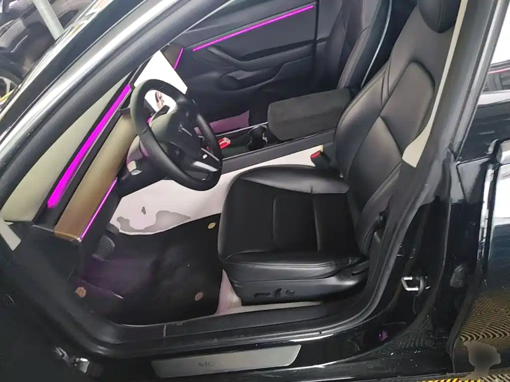 Tesla Model 3 2020 2020 Standard Range Rear-Wheel Drive Upgrade