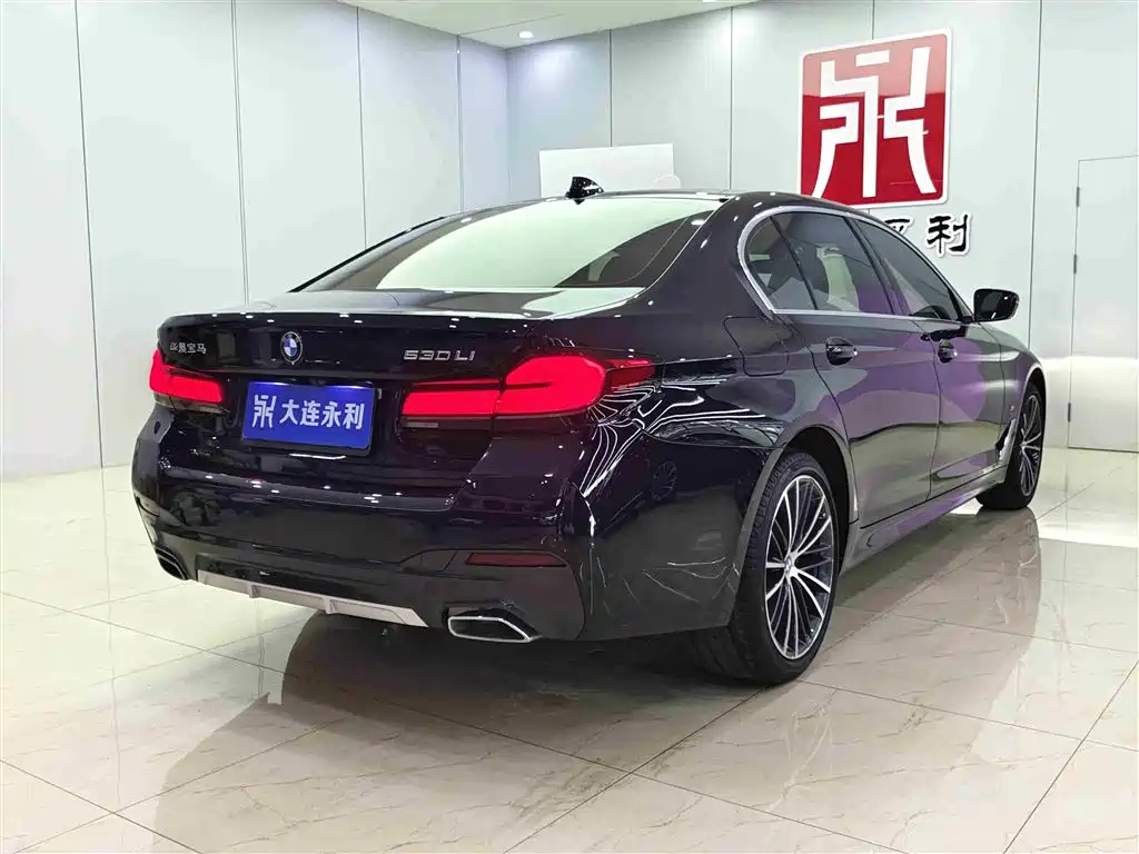 BMW 5 Series 2023 530Li xDrive M Sport Package фото 6