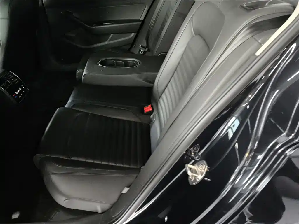 Volkswagen Magotan 2019 330TSI DSG Luxury Class China VI фото 17
