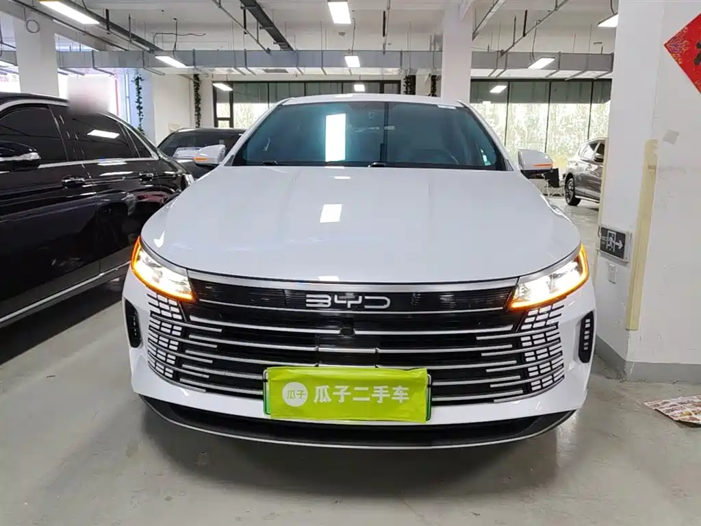 BYD Destroyer 05 2023 Model Champion Edition DM-i 120KM Luxury фото 3