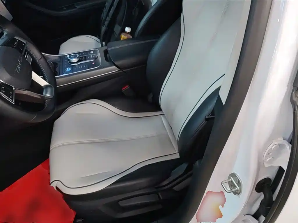 BYD Destroyer 05 2023 Model Champion Edition DM-i 120KM Luxury фото 11