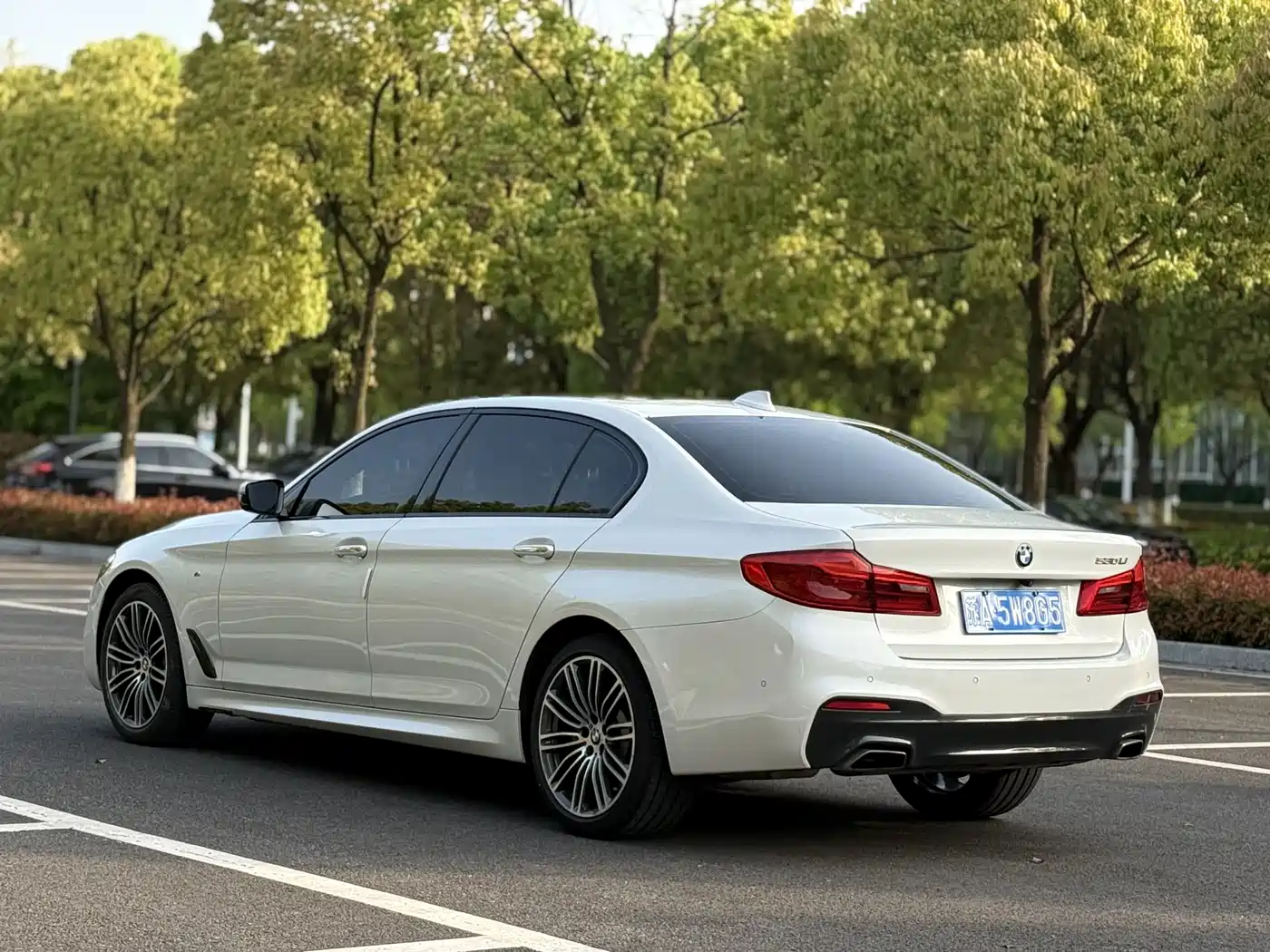 BMW 5 Series 2018 Facelift 530Li Leading M Sport Package фото 5