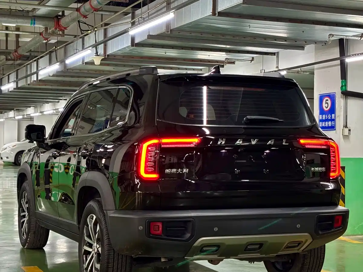 Haval Big Dog 2022 1.5T DCT FWD Border Collie Edition фото 16