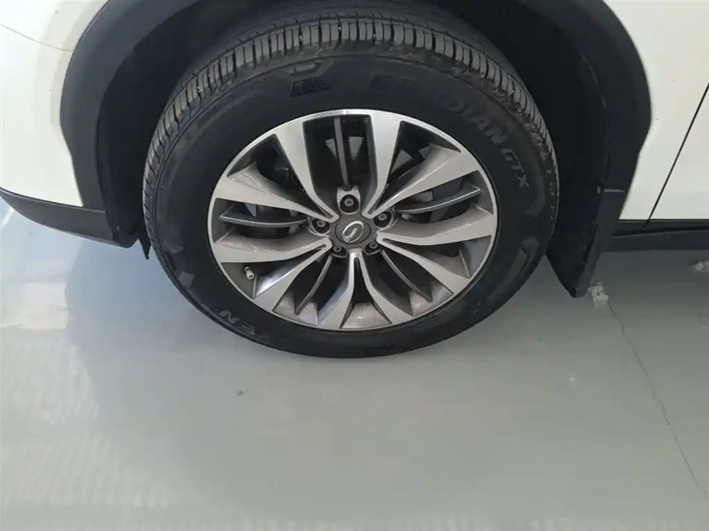 GAC Trumpchi Trumpchi GS8 2017 320T 2WD Luxury Smart Connect (7-seater) фото 25
