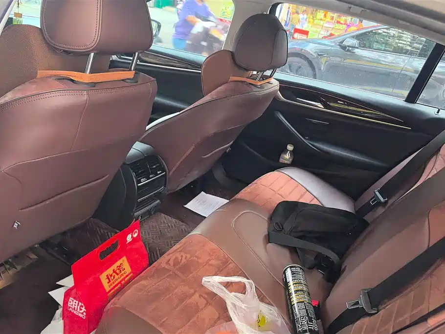 BMW 5 Series 2018 525Li Luxury Package фото 11