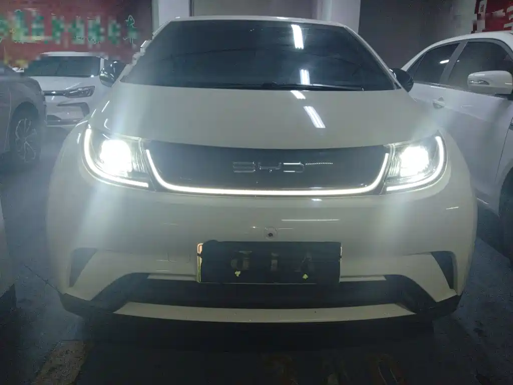 BYD Dolphin 2023 420km Freedom Edition фото 3