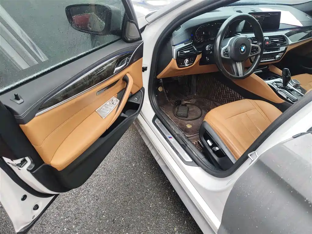 BMW 5 Series 2020 530Li Exclusive M Sport Package фото 16