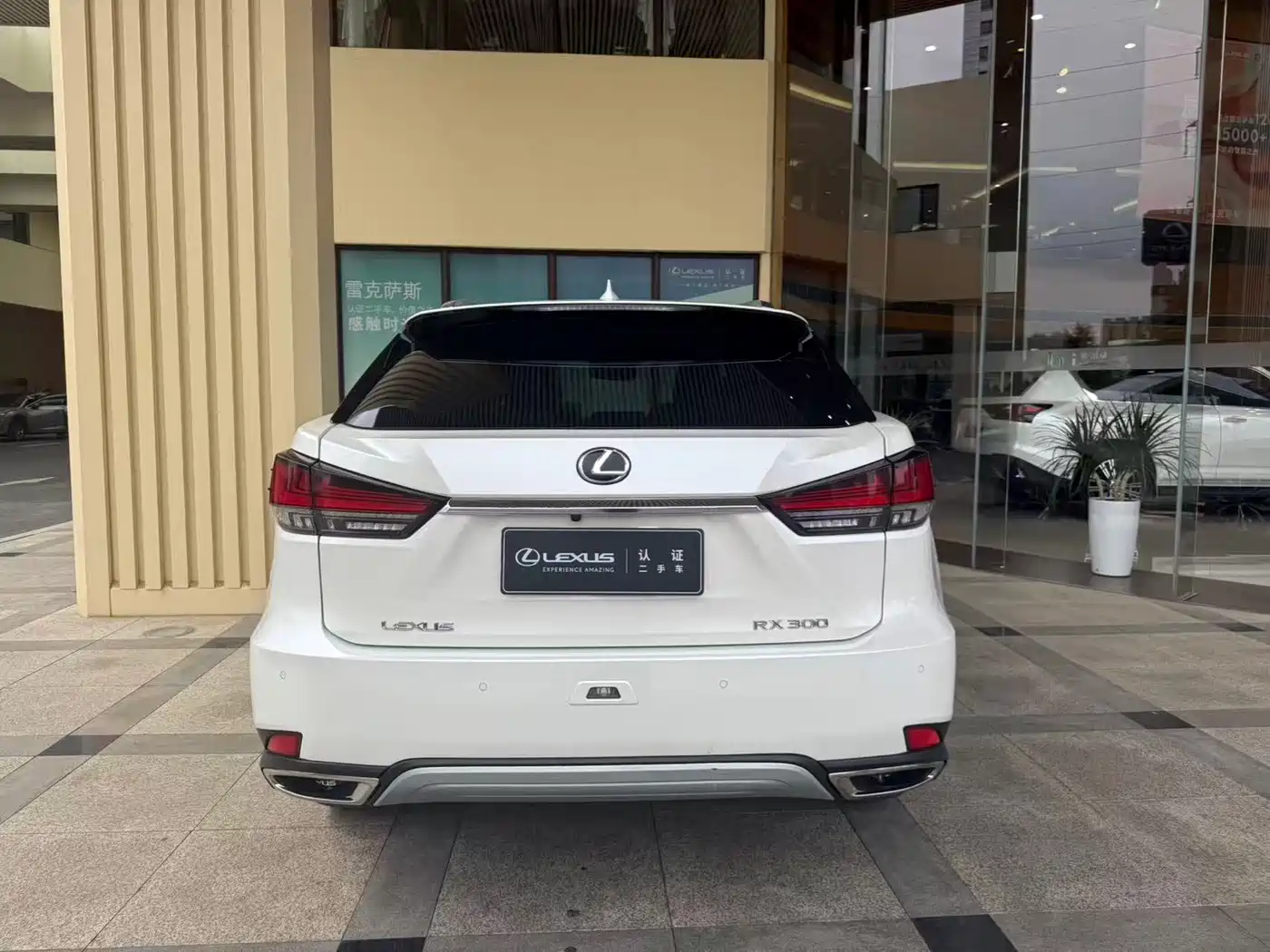 LEXUS RX