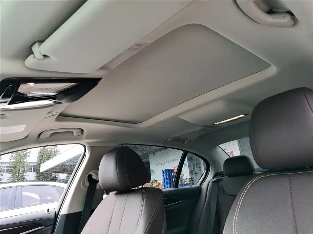 BMW 5 Series 2019 525Li Luxury Package фото 14