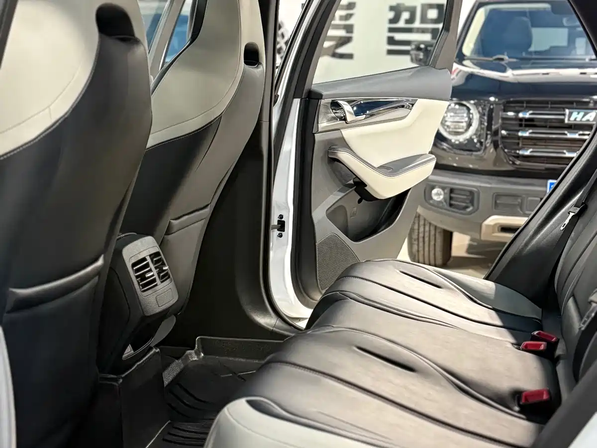 BYD Qin PLUS 2021 EV 500KM Premium Model фото 8