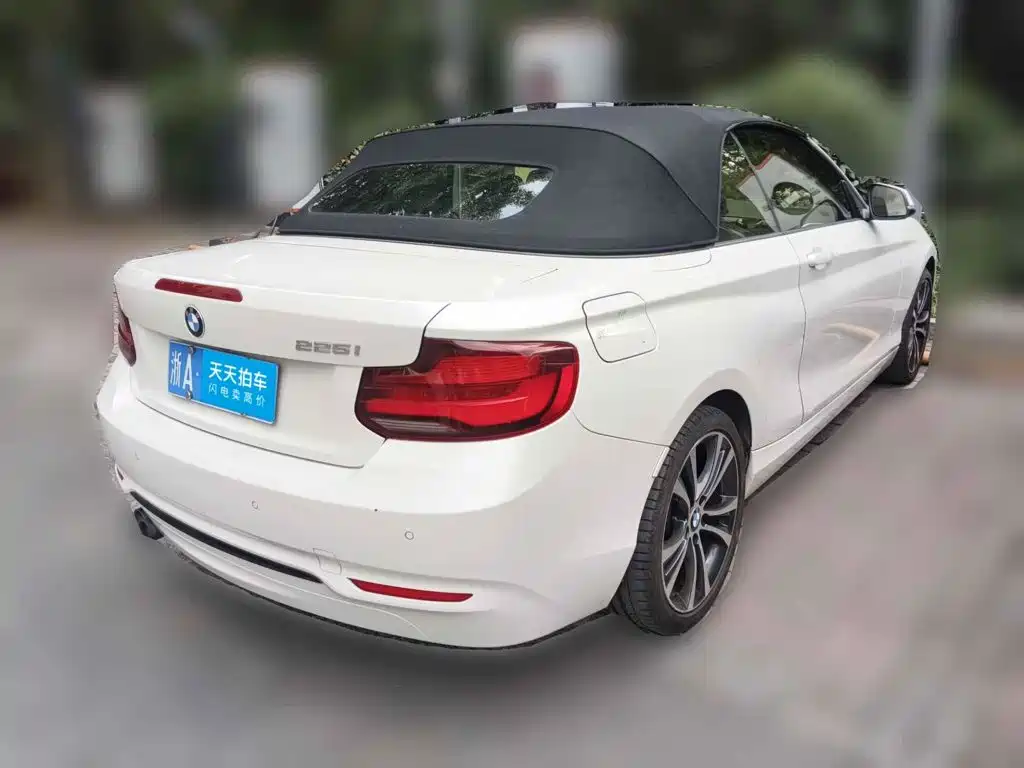 BMW BMW 2 Series (Import) 2019 225i Convertible Coupe Sport Design Package 2