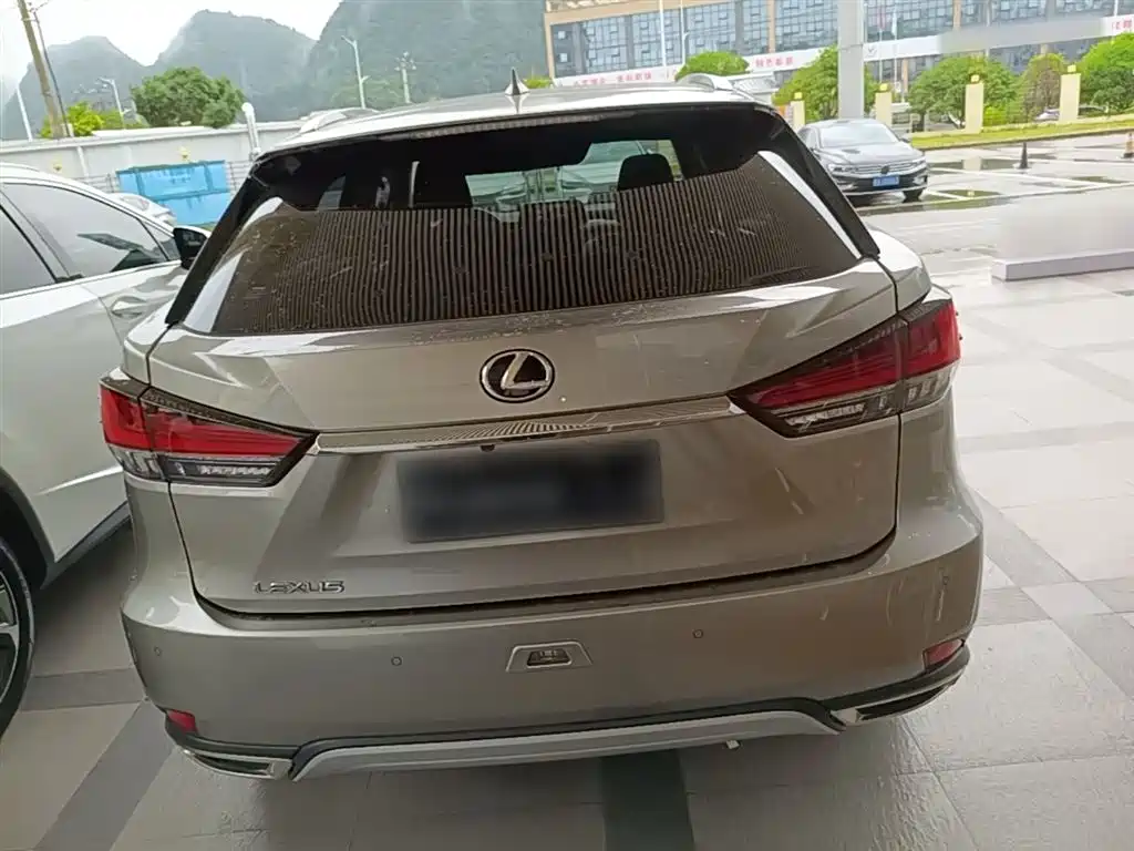 Lexus RX 2020 300 4WD Elegance Edition China VI фото 7
