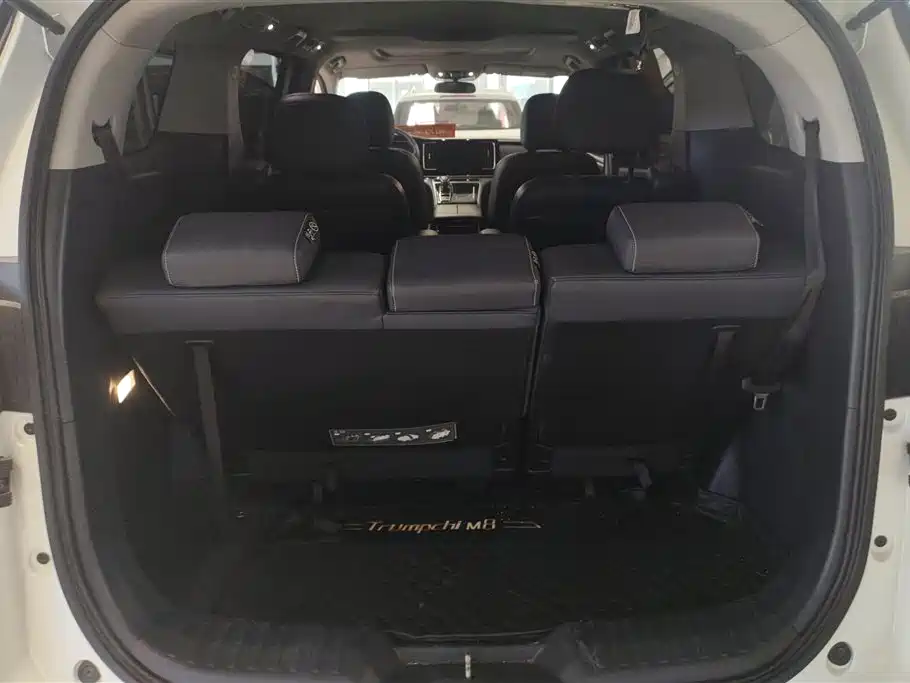 GAC Trumpchi Trumpchi M8 2021 Leading Show Series 390T Premium Edition фото 4
