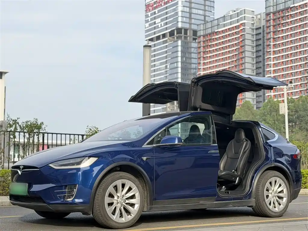 TESLA MODEL X 2019
