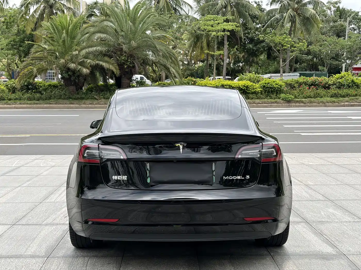 TESLA MODEL 3