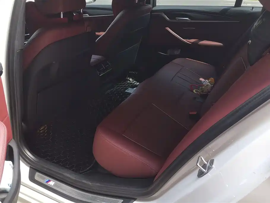 BMW 5 Series 2023 530Li Leading M Sport Package фото 11