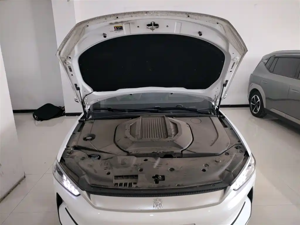 BYD Qin PLUS 2023 Champion Edition EV 420KM Leading Type фото 16