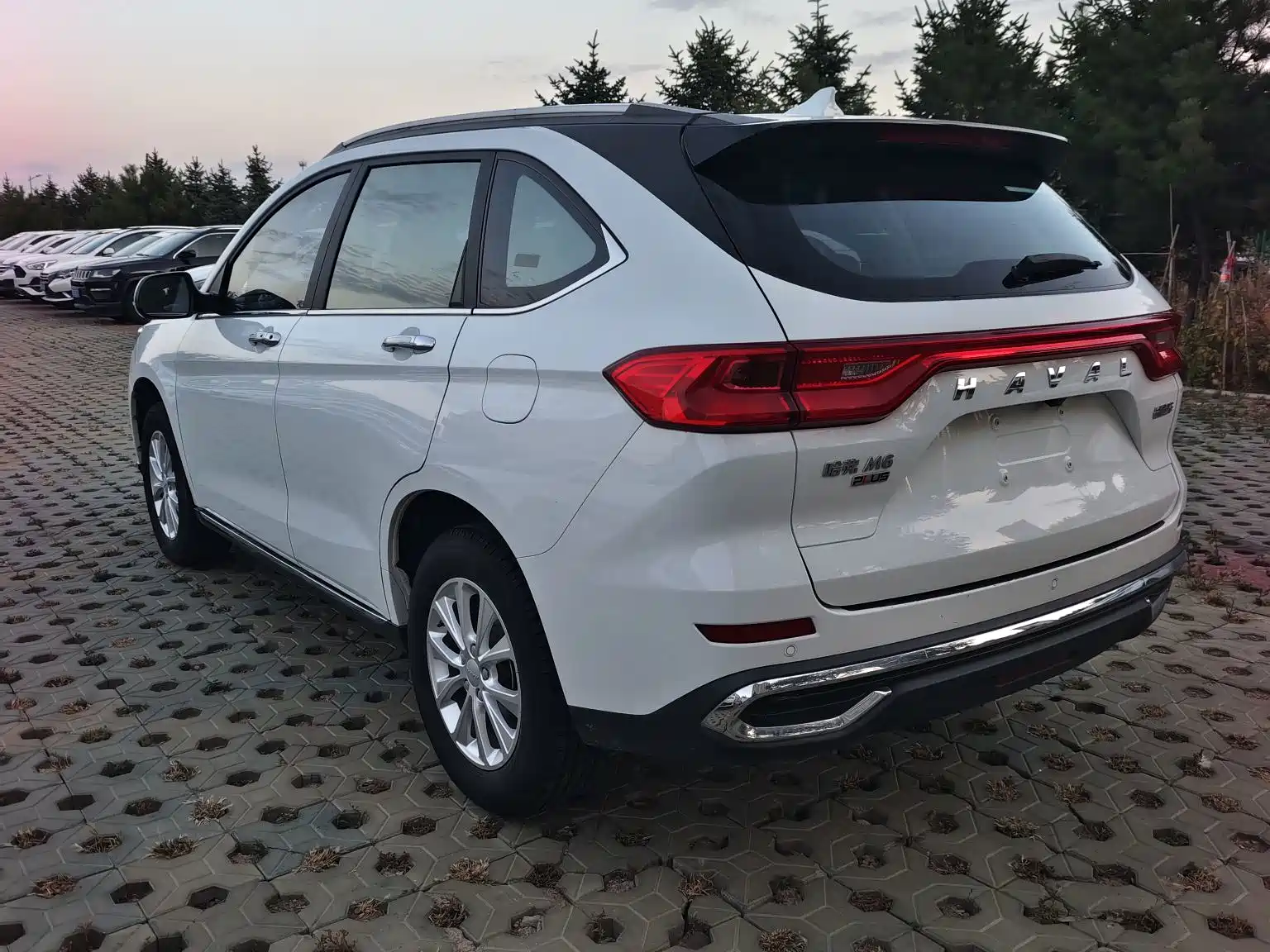 Фото 7 - Haval M6