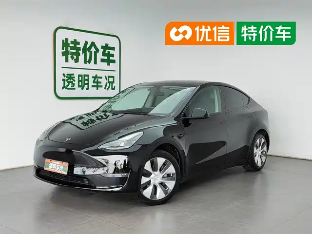 Tesla Model Y 2021 Standard Range Rear-Wheel Drive