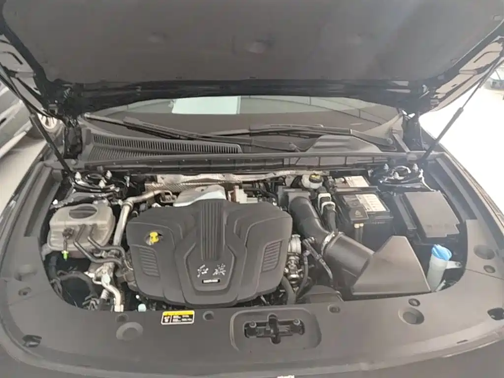 Hongqi H5 2024 2.0T Automatic Smart Connect Flag Smooth Edition фото 20