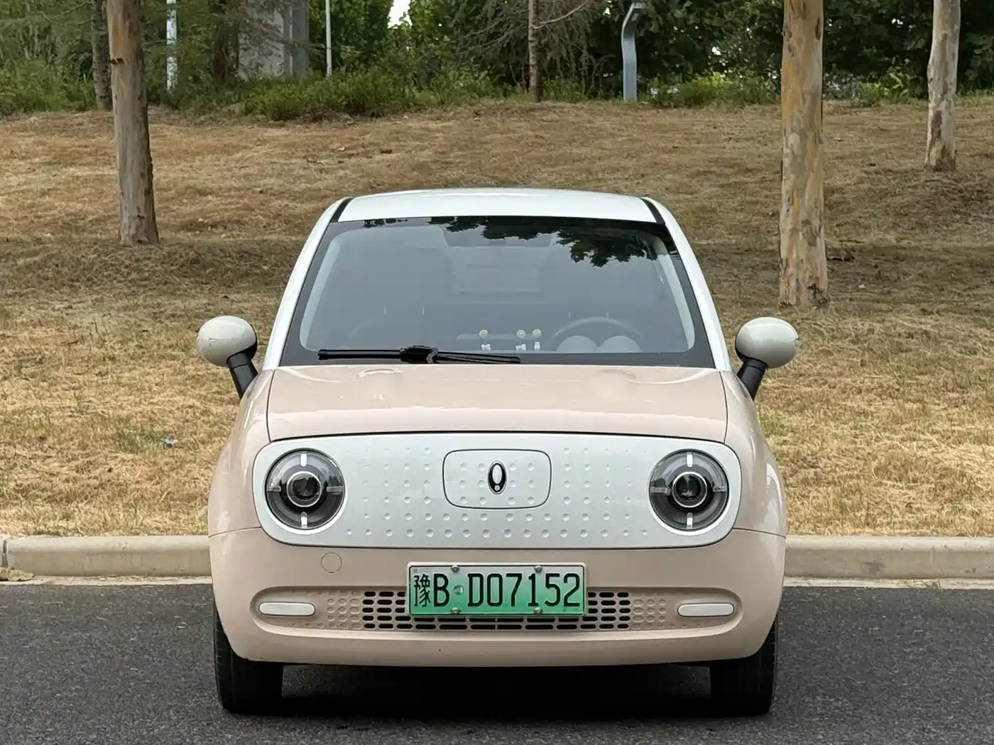 Ora Black Cat 2021 2021 301km Basic Model