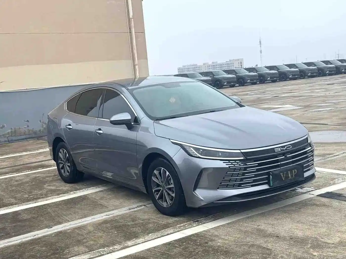 BYD Destroyer 05 2024 Glory Edition DM-i 55KM Luxury фото 3