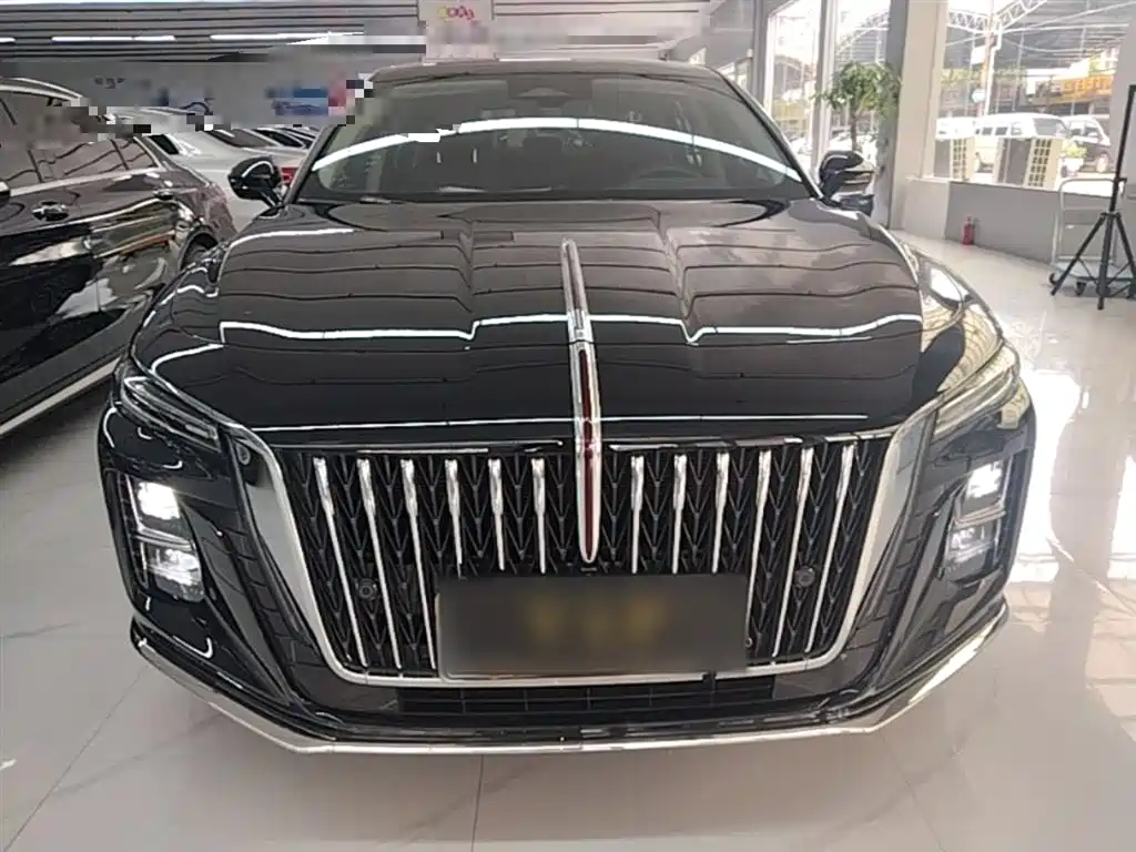 Hongqi H5 2024 2.0T Automatic Smart Connect Flag Smooth Edition фото 3