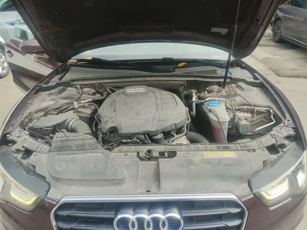 Audi A5 (Import) 2014 Cabriolet 45 TFSI фото 10