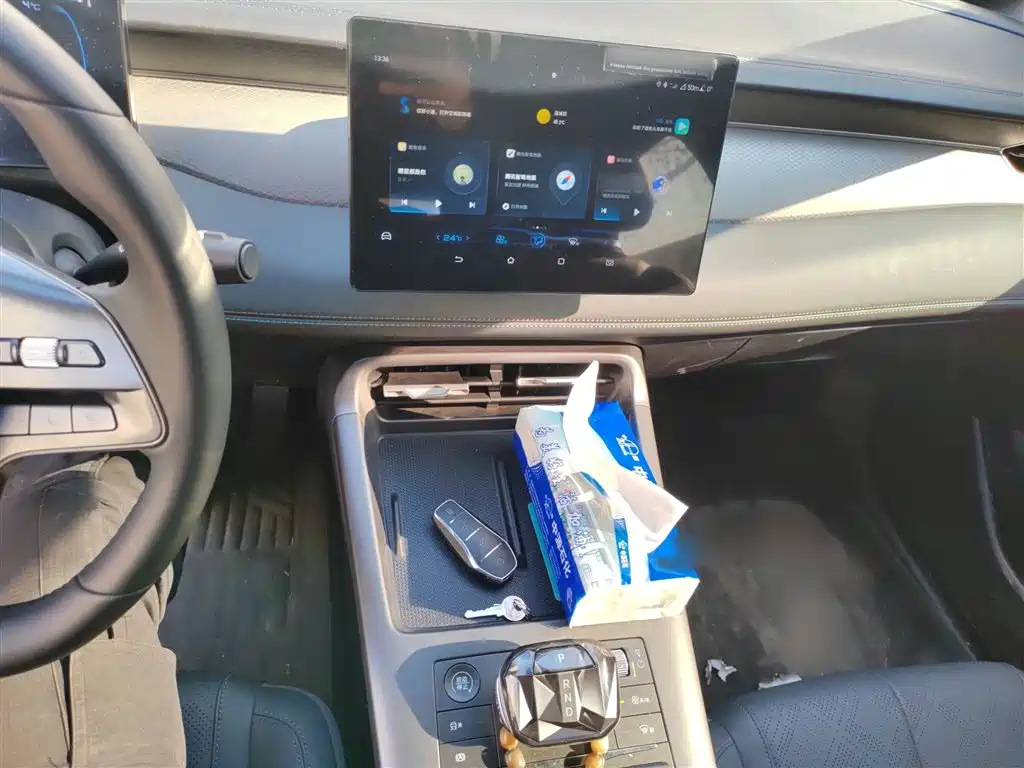 BYD Qin PLUS 2025 DM-i Smart Drive 55KM Leader фото 6