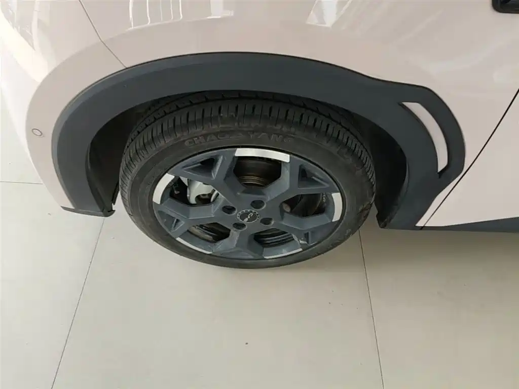 BYD Seagull 2025 Smart Drive Edition 305km Freedom Version фото 23