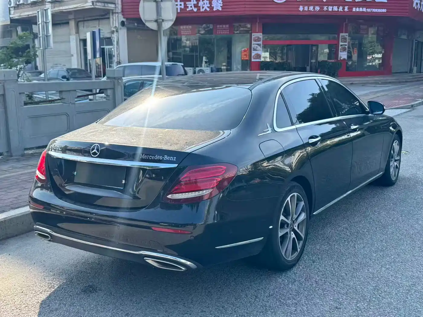Mercedes-Benz E-Class 2019 E 300 L Luxury фото 9
