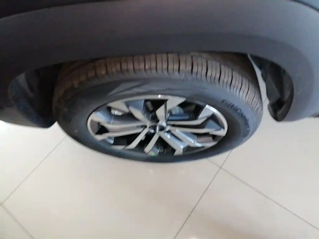Haval Big Dog 2026 Model 1.5T High Configuration фото 23